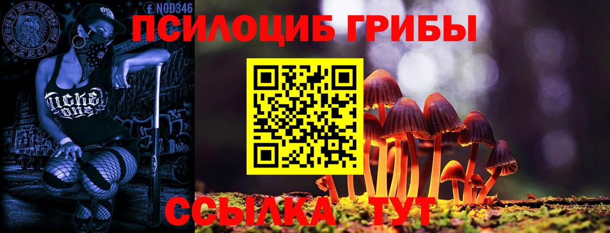 Псилоцибиновые грибы Psilocybine cubensis Кострома