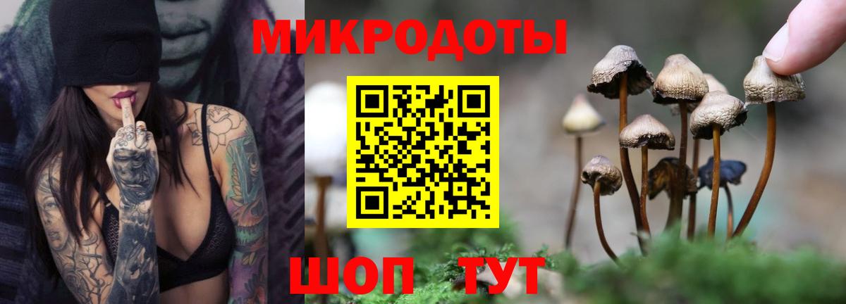 Псилоцибиновые грибы прущие грибы  Вход с VPN  Кострома 